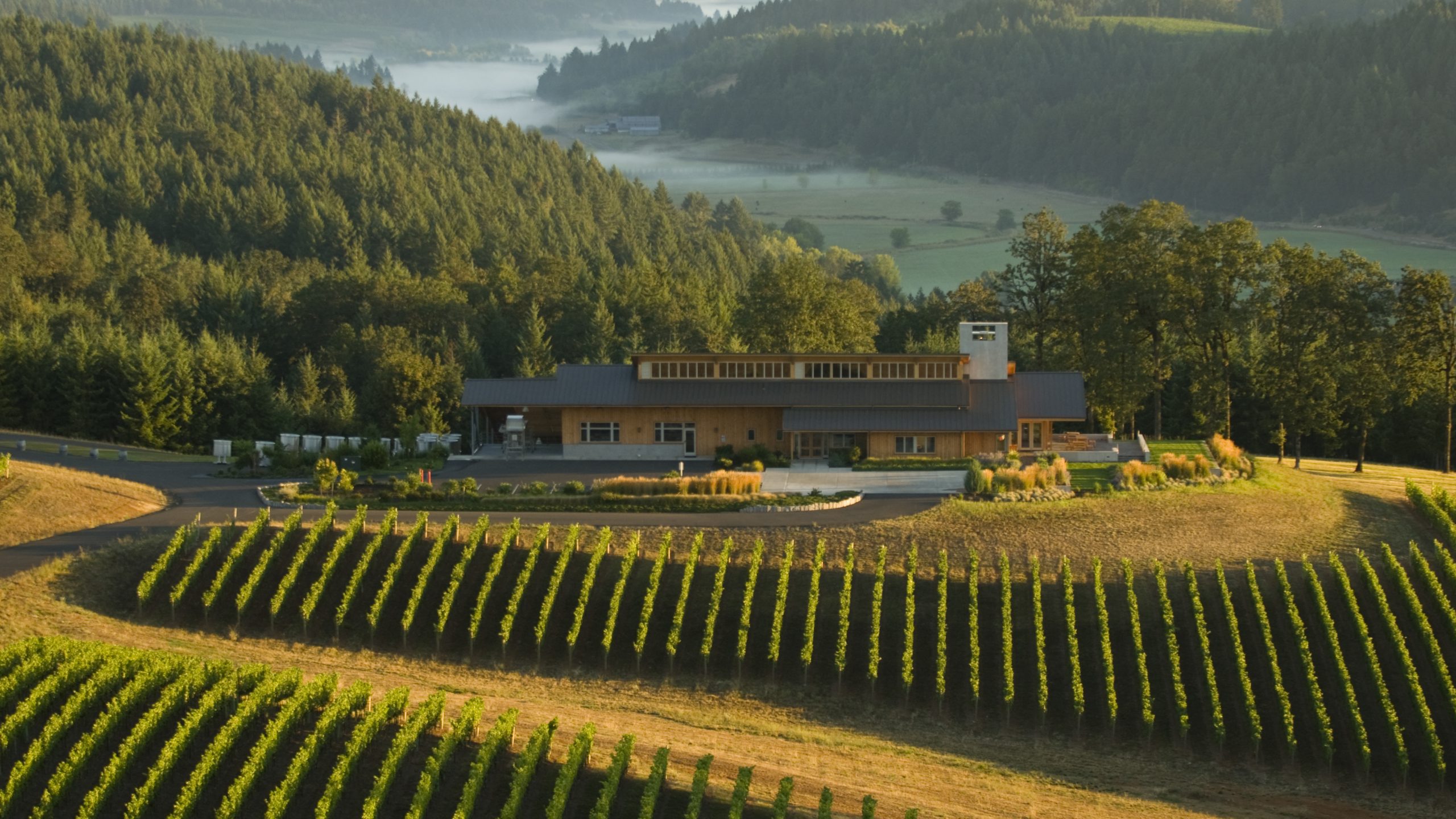 “Oregon is right now the single most exciting winemaking area in the United States…”